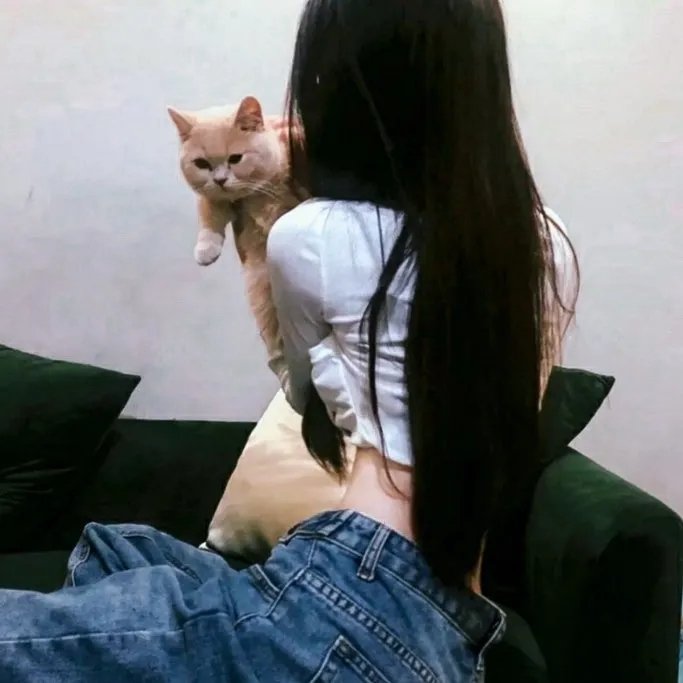 程序员那么可爱
